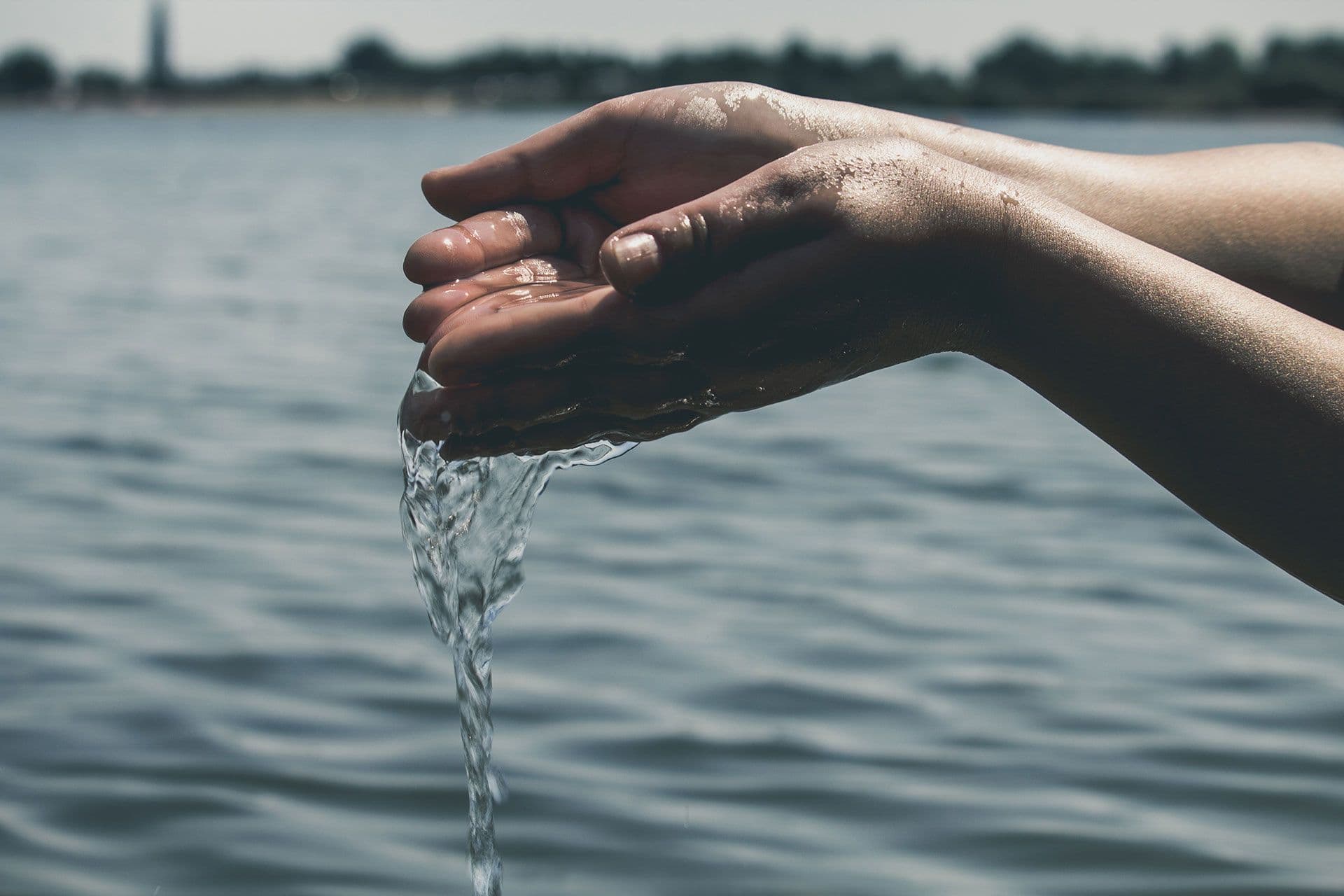 Two hands scooping water from a lake.
